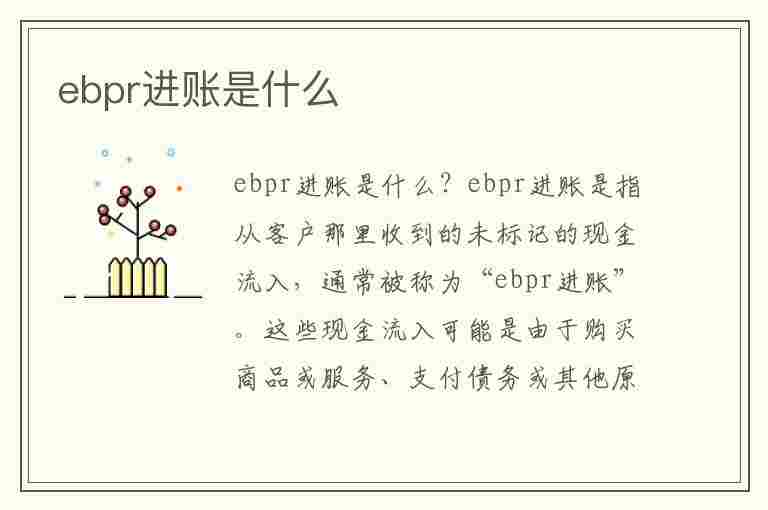 ebpr进账是什么(ebpr进账是什么交易)